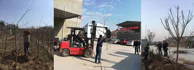 寶雞捷銳“迎春風(fēng)，綠家園”植樹節(jié)(圖2)